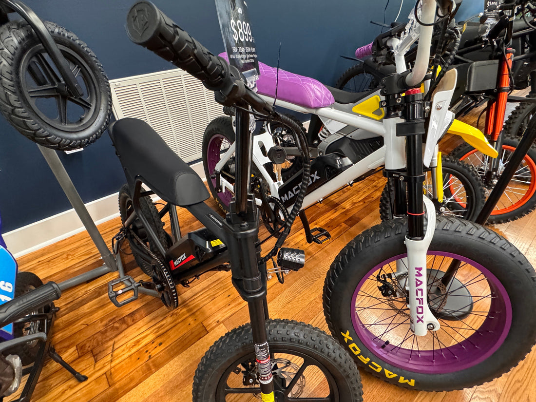 The NJ E-Bike Law: Day 24 – The Small Business Impact, Part 5
