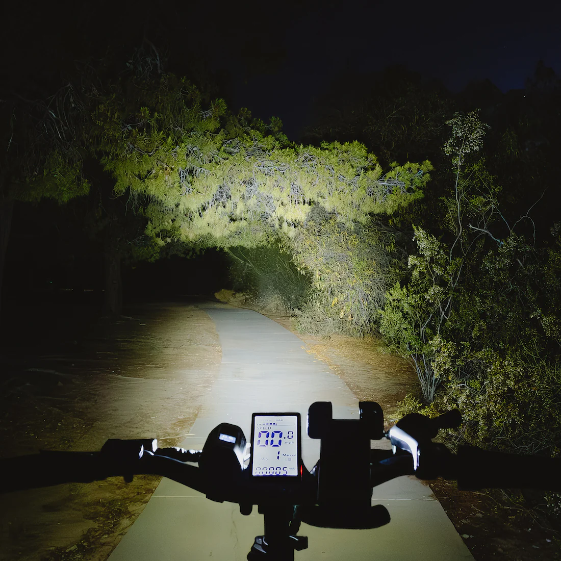 Lectric Beacon Light with Power Bank