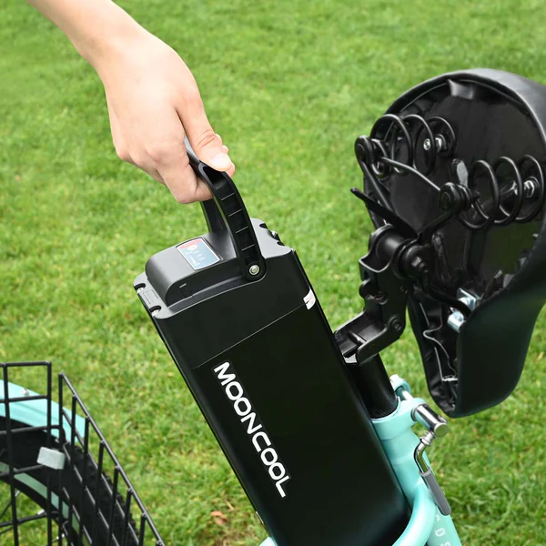 Mooncool Trike Battery for MC 350