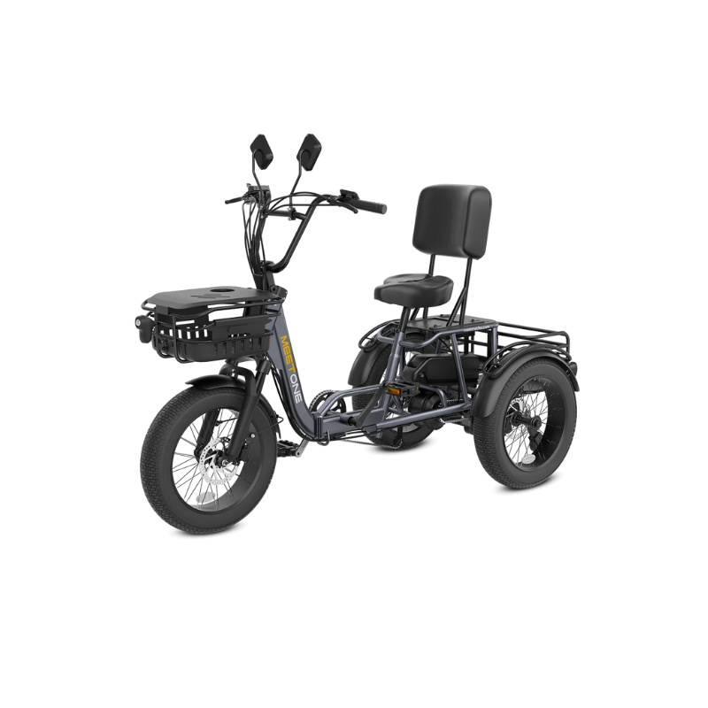 Meet One Breeze Pro – Foldable Fat Tire Electric Trike