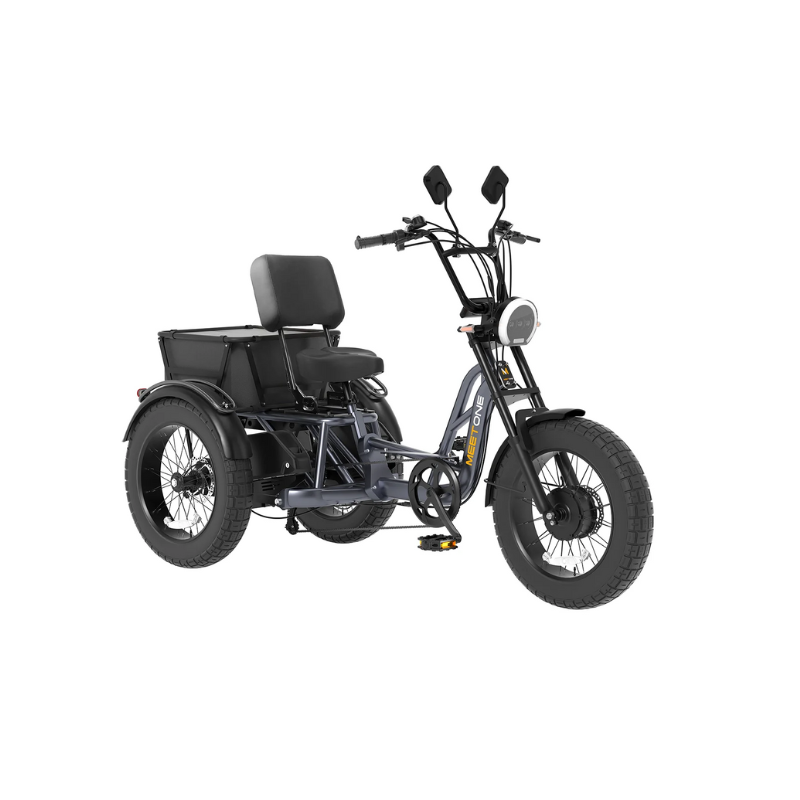 Meet One Tour β Dual-Motor, Dual-Battery Electric Trike