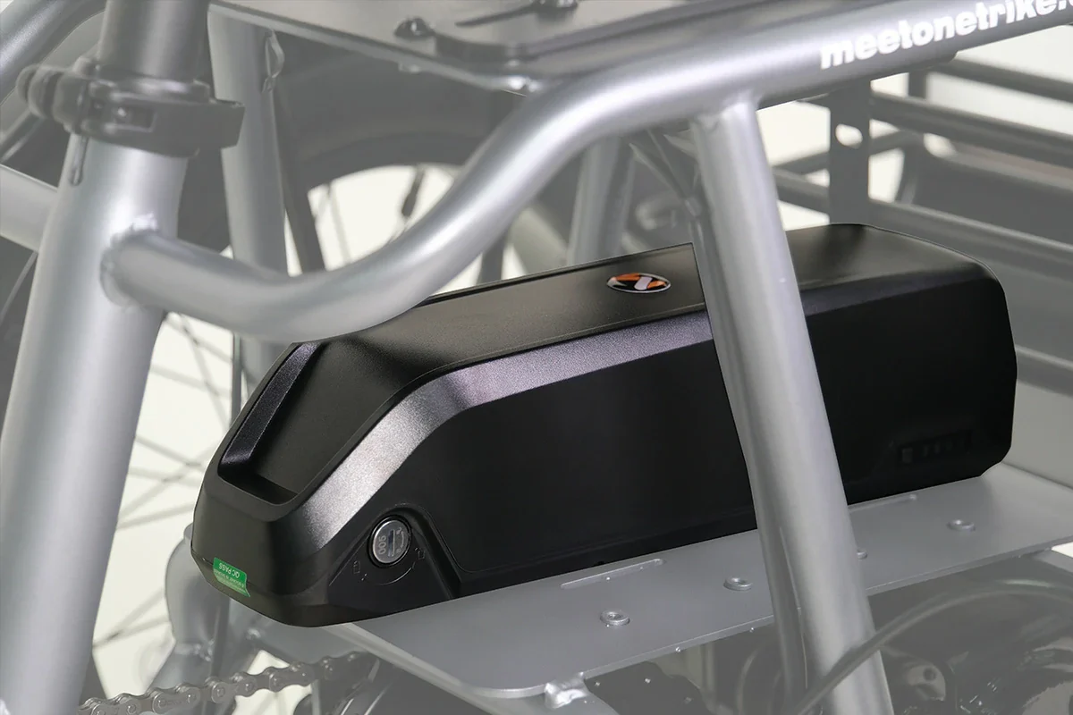 Meet One Spare Battery – 48V Lithium-Ion