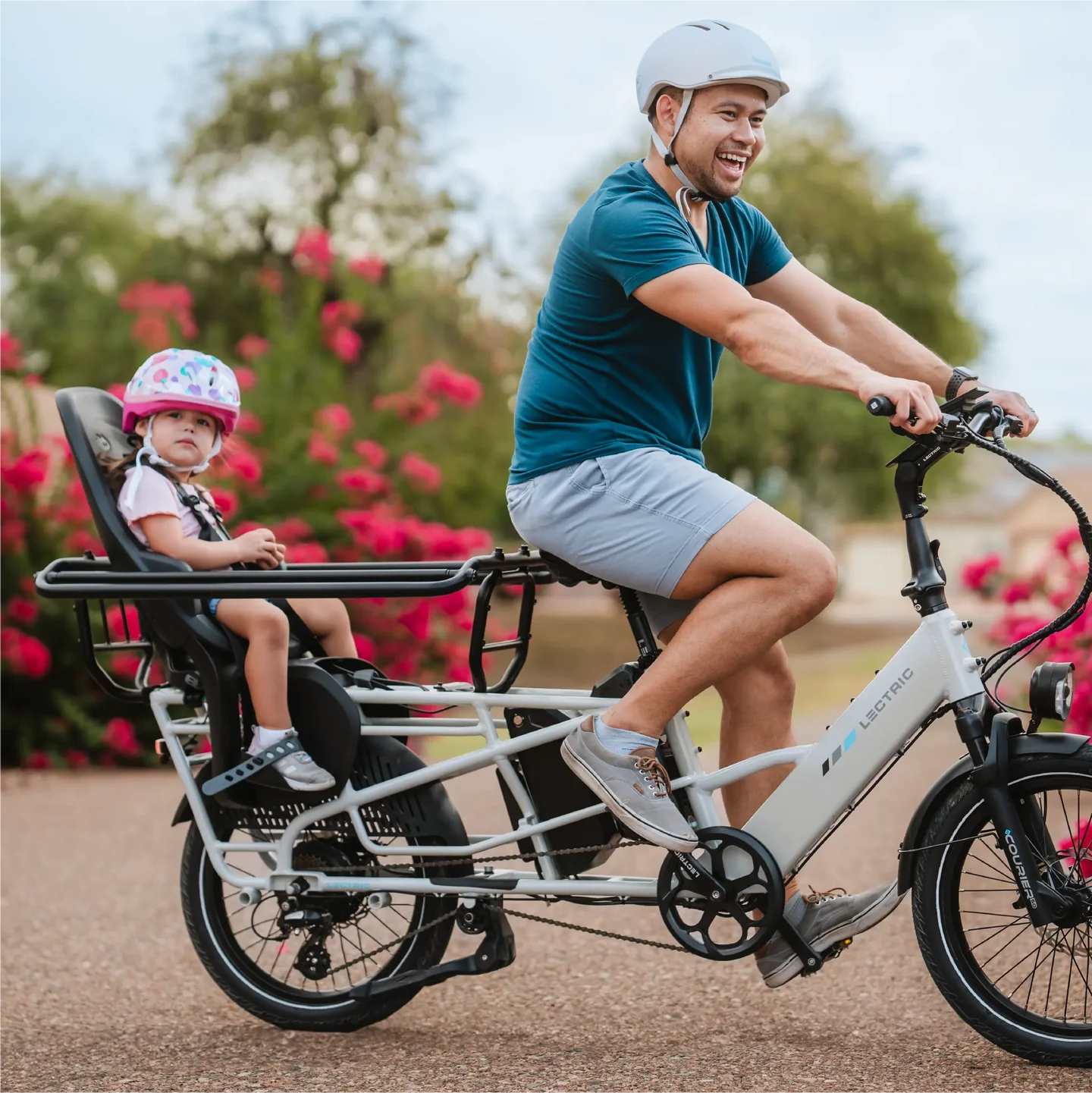 Lectric Orbitor Cargo Basket