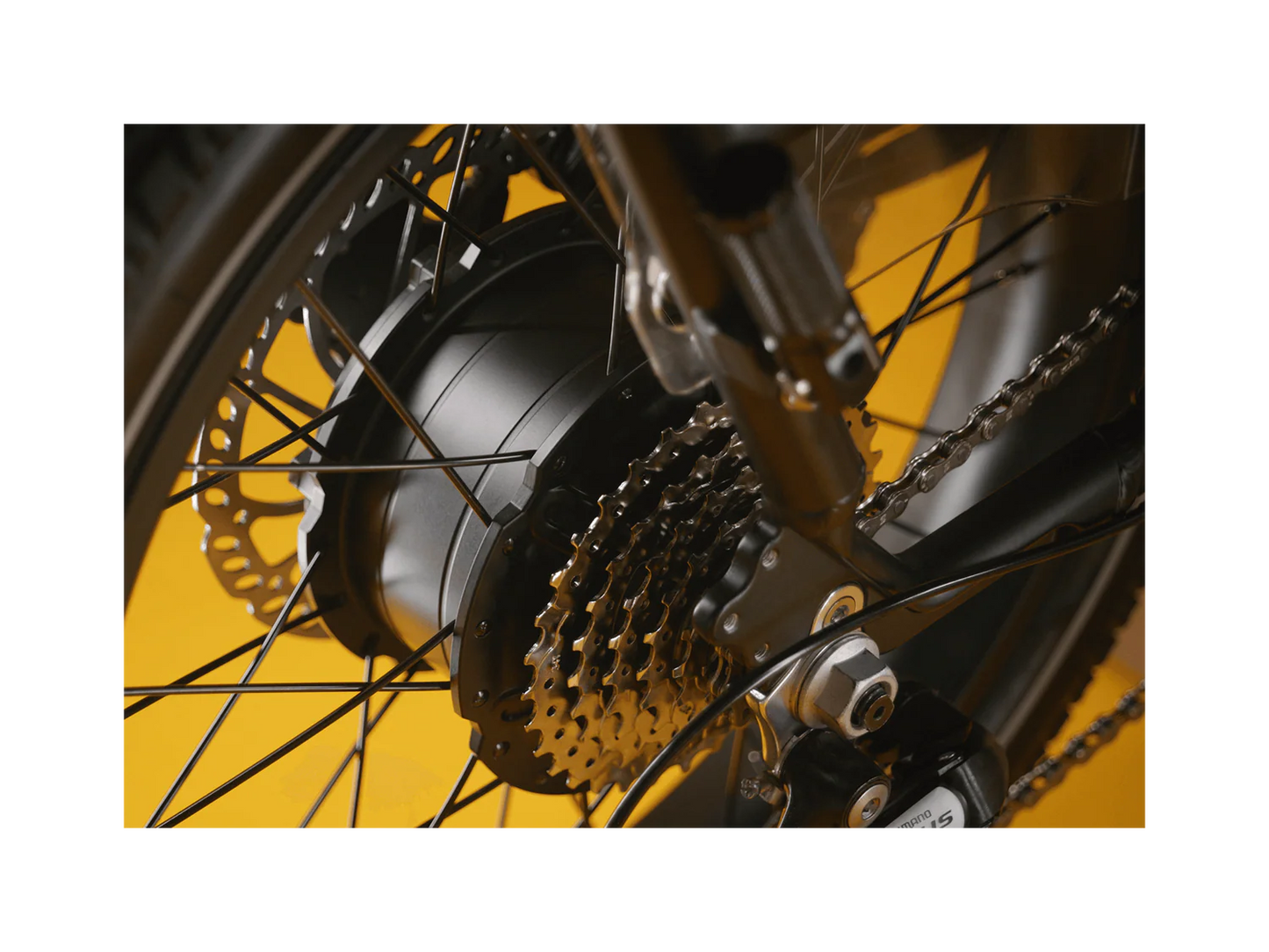 Rad Power Bikes RadRunner™ Max Electric Cargo Utility Bike