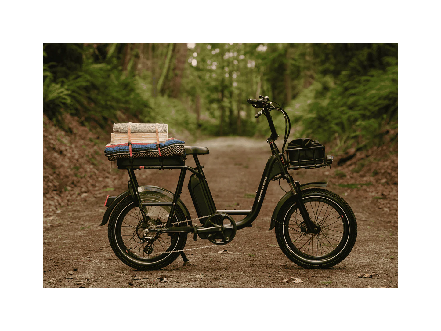 Rad Power Bikes RadRunner™ Plus Electric Cargo Utility Bike