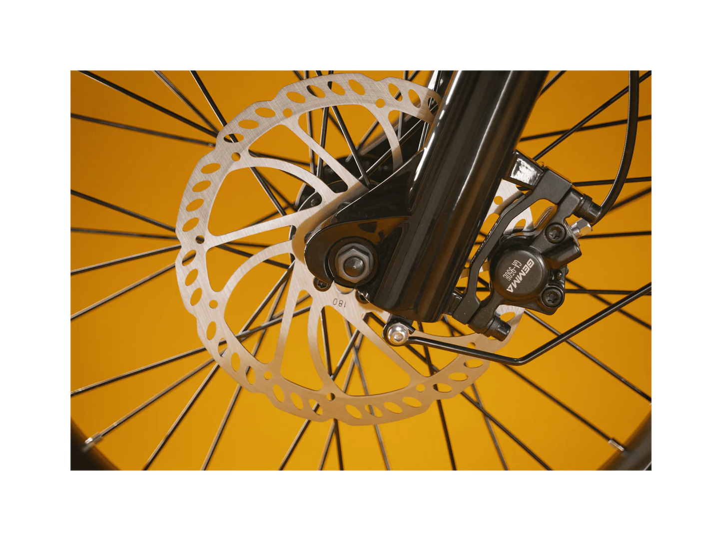 Rad Power Bikes RadRunner™ Plus Electric Cargo Utility Bike