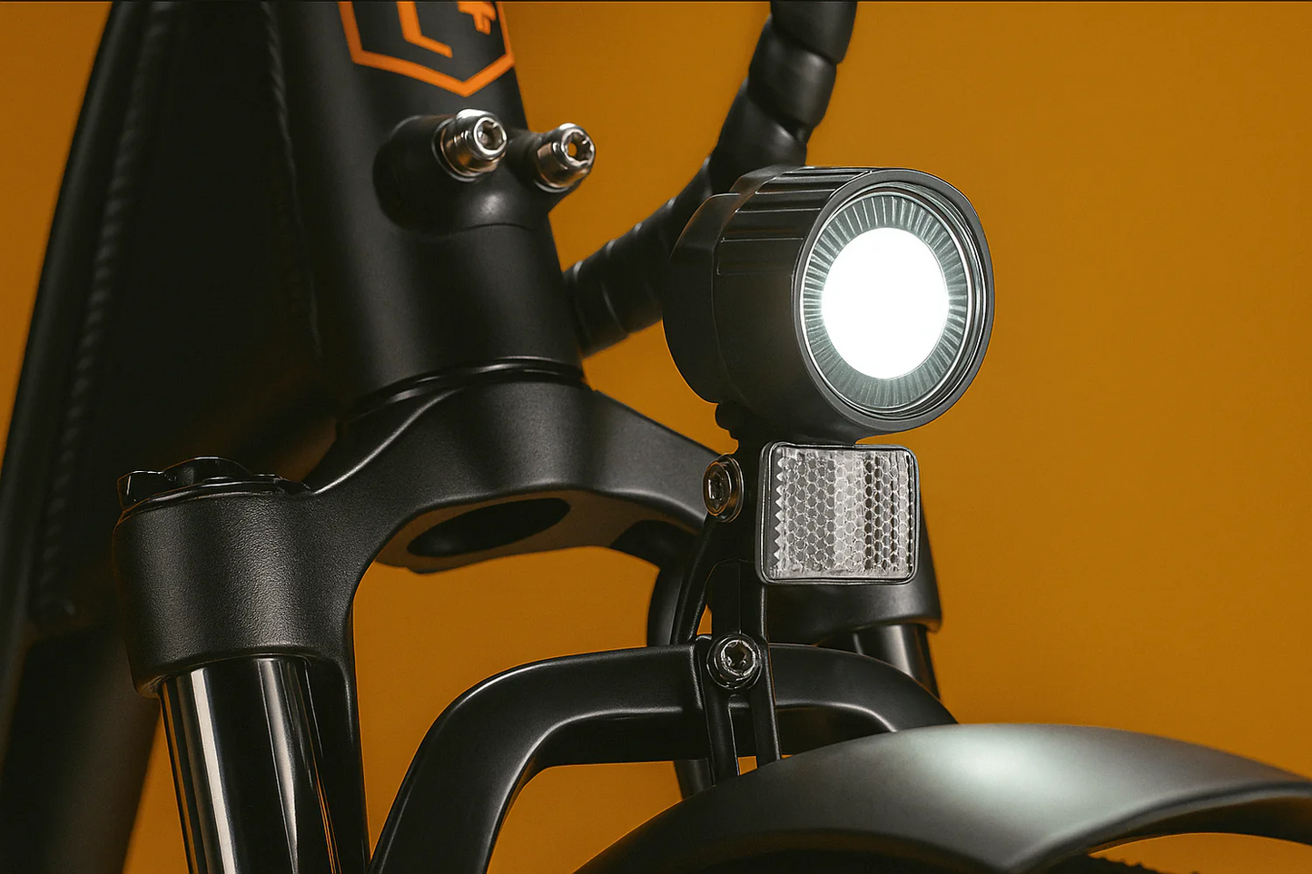 Rad Power Bikes RadRunner™ Plus Electric Cargo Utility Bike