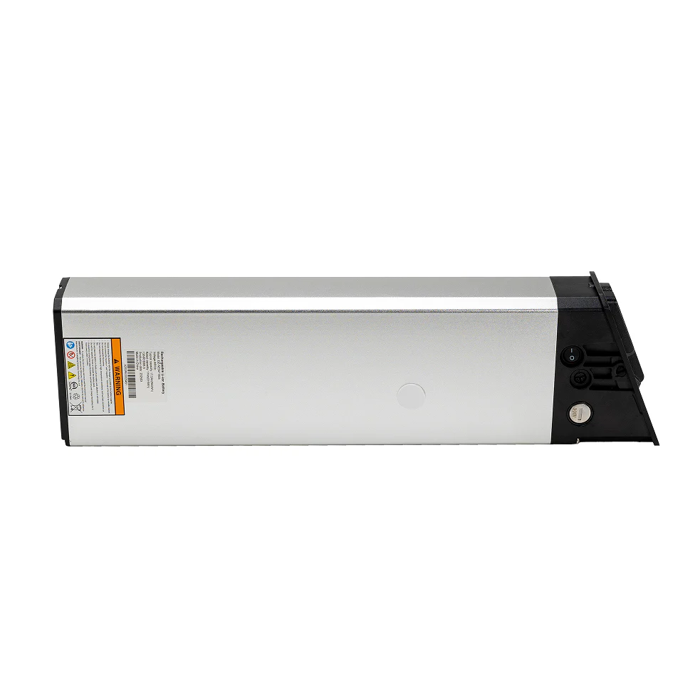 Lectric XP4 Spare Battery