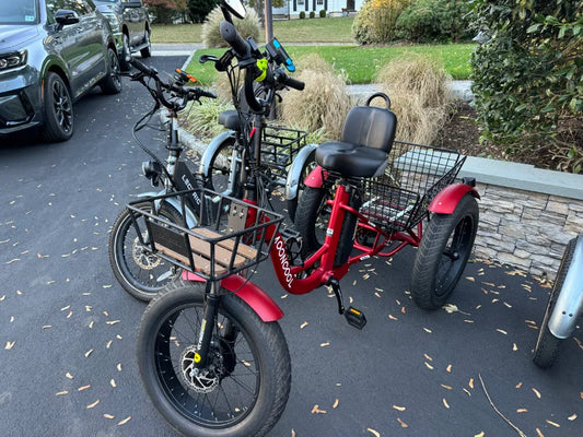 Choosing the Right E-Ride: Factors to Consider Before Buying