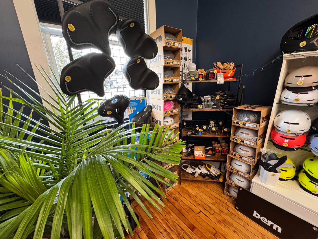 The NJ E-Bike Law: Day 24 – The Small Business Impact, Part 3