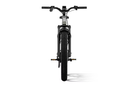 Aventon Aventure M Electric Bike