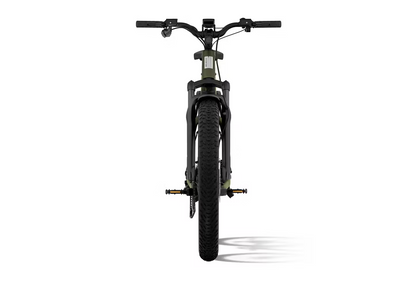 Aventon Aventure M Electric Bike