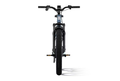 Aventon Aventure M Electric Bike