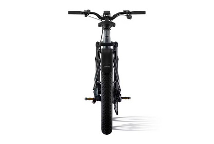 Aventon Aventure M Electric Bike