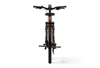 Aventon Level 3 Step-Through Electric Bike