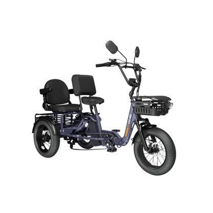 Meet One Pair Electric Trike
