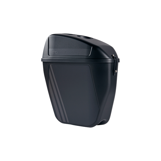 Rad Power Bikes RadRunner 2 Console