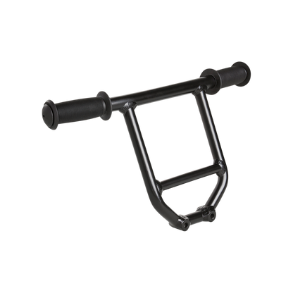 Rad Power Bikes RadWagon Deckhand