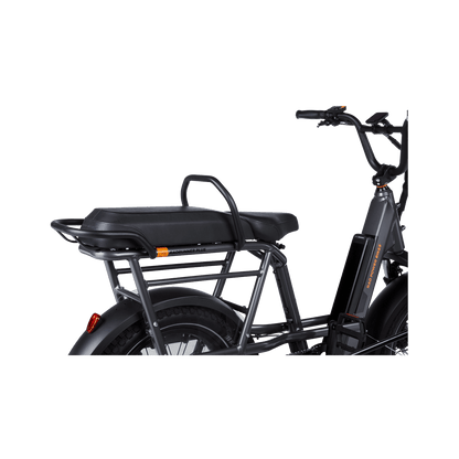 RadRunner Passenger Bars