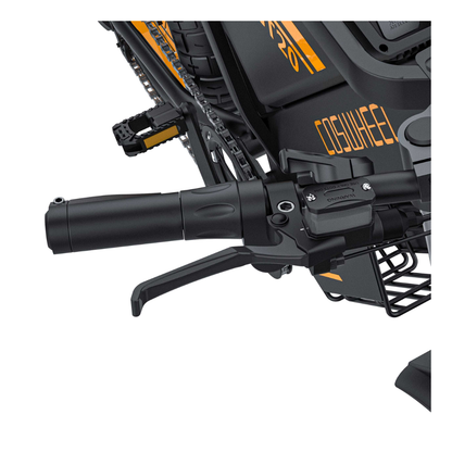 Coswheel GT20 Pro Electric Bike