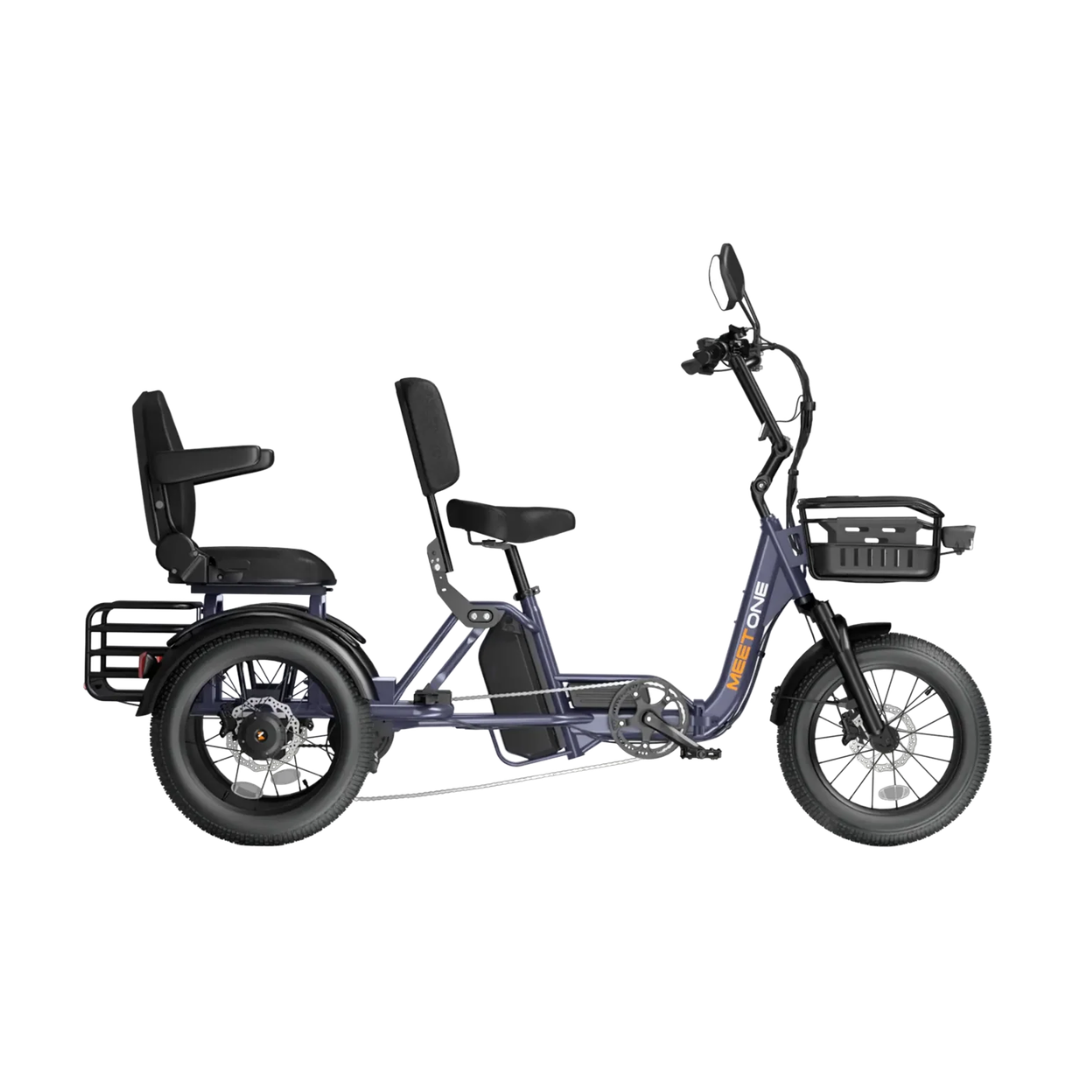 Meet One Pair Electric Trike