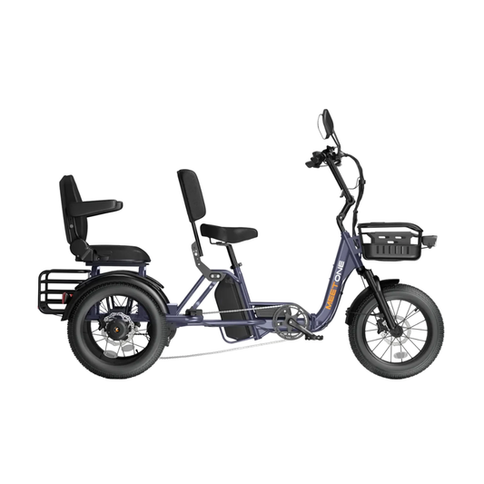 Meet One Pair Electric Trike