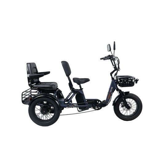 Meet One Pair Electric Trike with Passenger Seat
