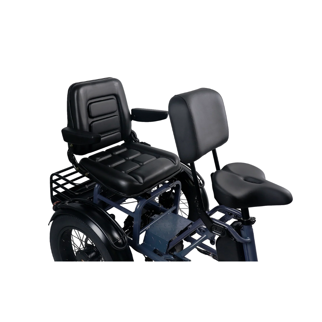 Meet One Pair Electric Trike with Passenger Seat