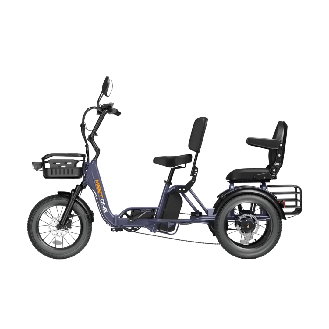 Meet One Pair Electric Trike