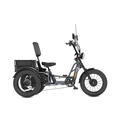 Meet One Trike Durable Windshield