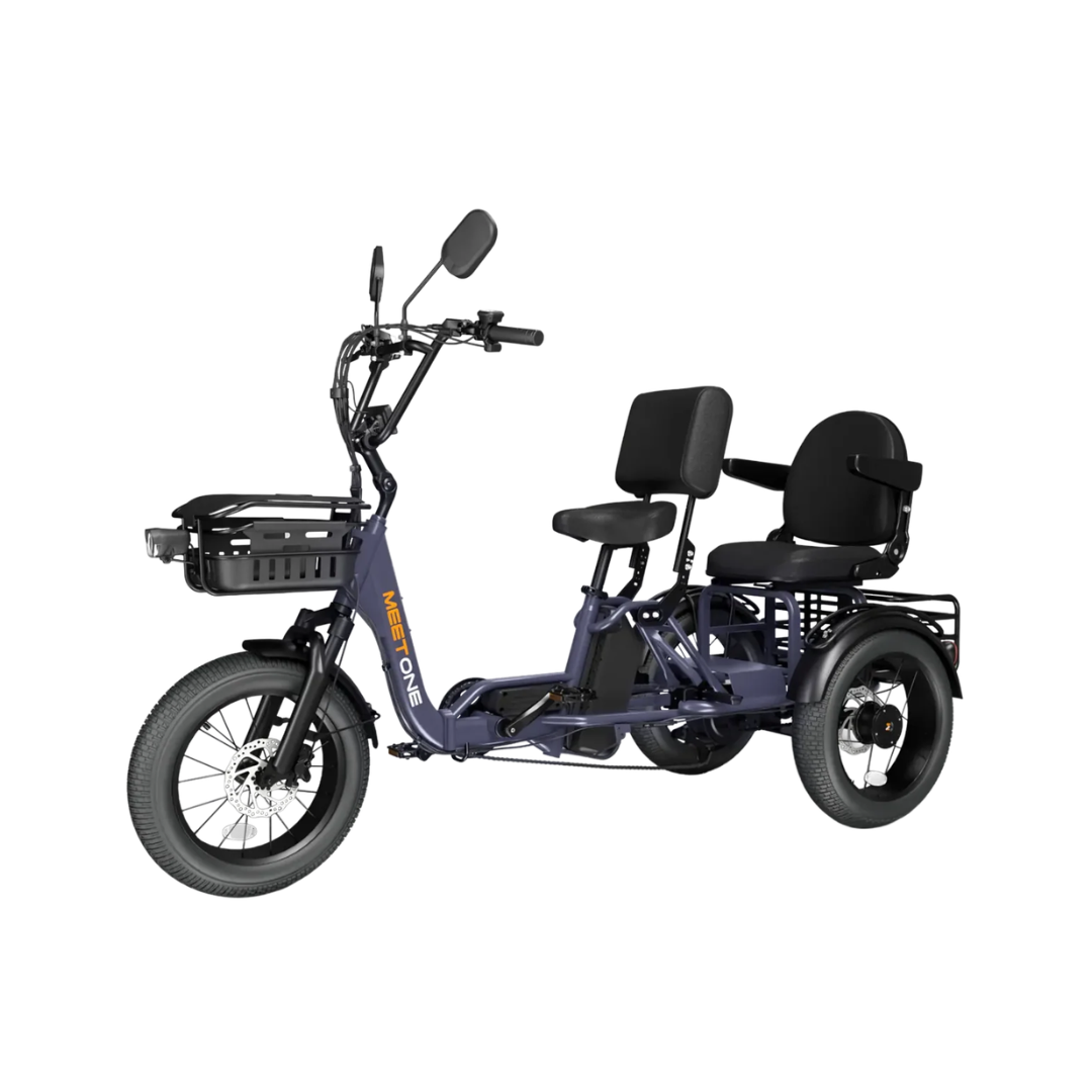 Meet One Pair Electric Trike