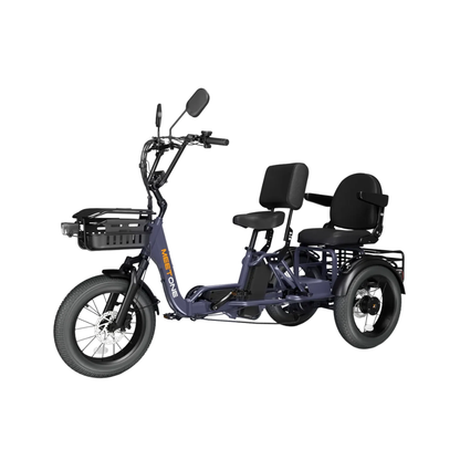 Meet One Pair Electric Trike