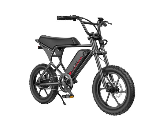 MacFox M19 Electric Bike