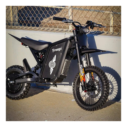 Freego X0 Electric Mini Bike