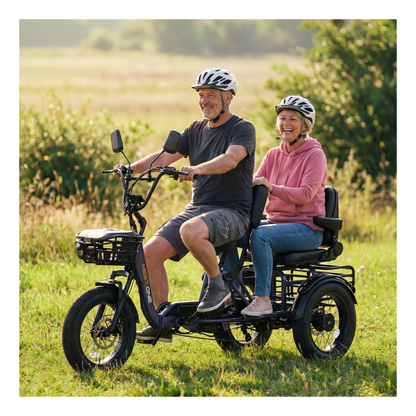 Meet One Pair Electric Trike