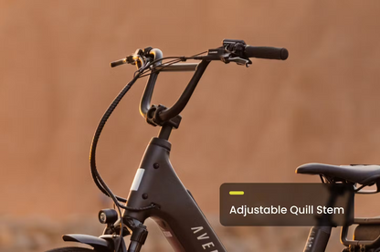Aventon Abound LR Electric Bike
