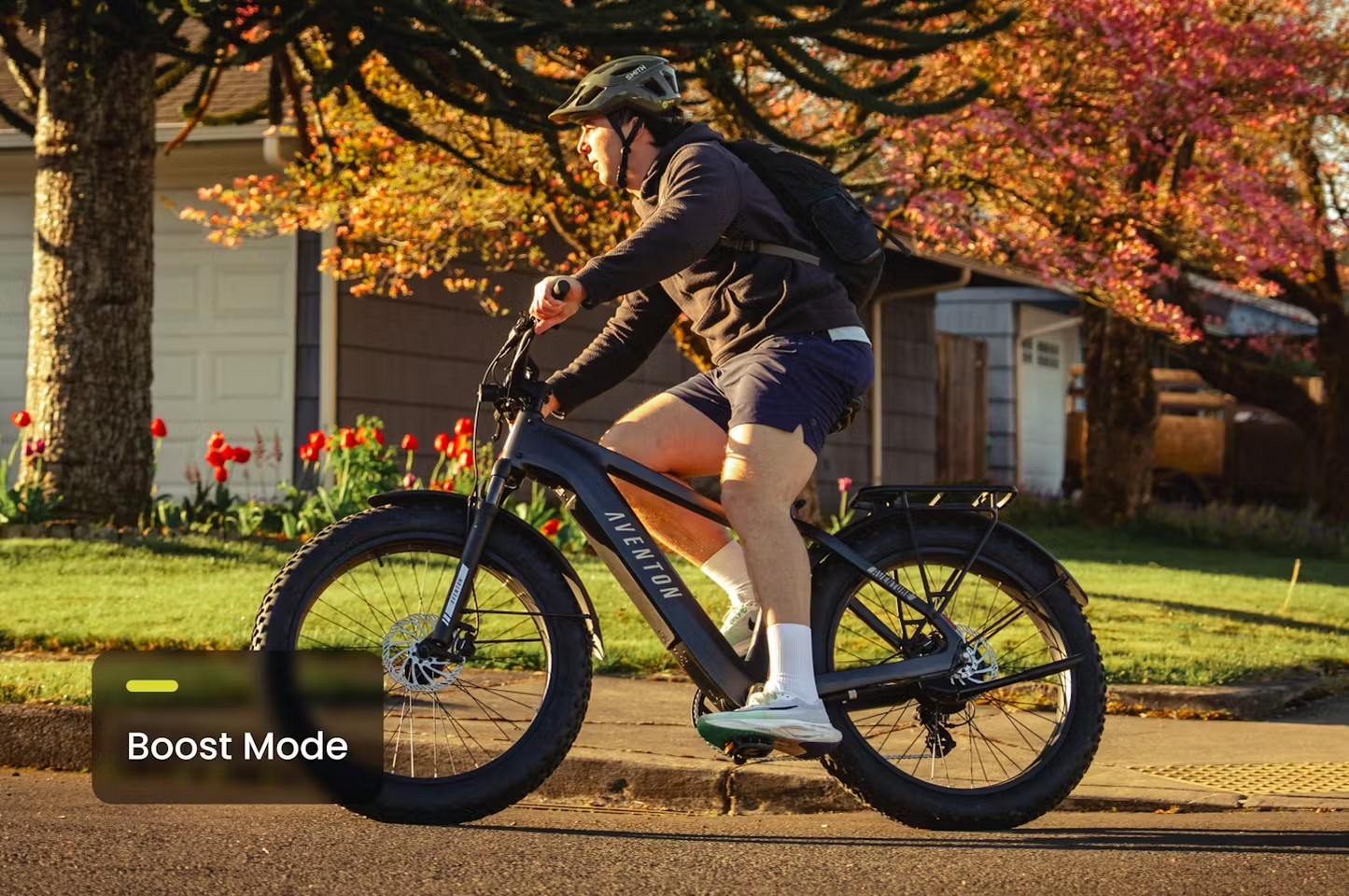 Aventon Aventure 3 Electric Bike