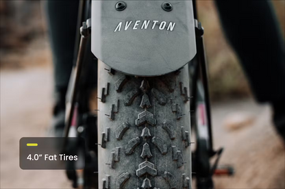 Aventon Aventure M Electric Bike