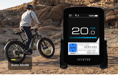 Aventon Aventure M Electric Bike