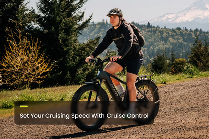 Aventon Aventure 3 Step-Through Electric Bike