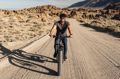 Aventon Aventure M Electric Bike