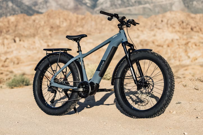 Aventon Aventure M Electric Bike