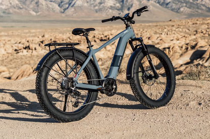 Aventon Aventure M Electric Bike
