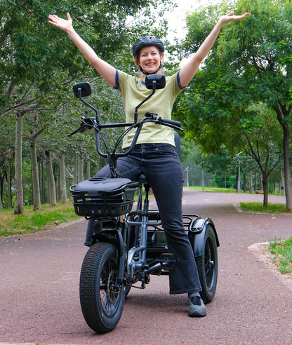 Meet One Breeze Pro – Foldable Fat Tire Electric Trike