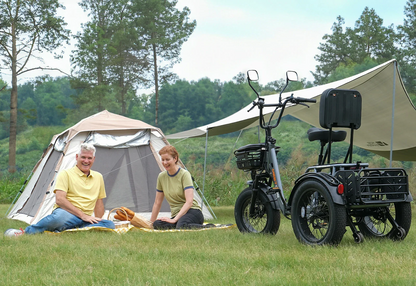 Meet One Breeze Pro – Foldable Fat Tire Electric Trike