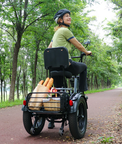 Meet One Breeze Pro – Foldable Fat Tire Electric Trike