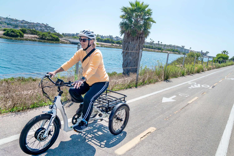 Emojo Bull – Low-Rider Electric Trike