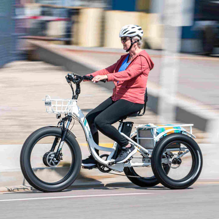 Emojo Caddy Pro – Fat Tire Electric Trike