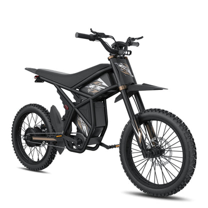 Riding Times GT73 Pro Electric Motorbike