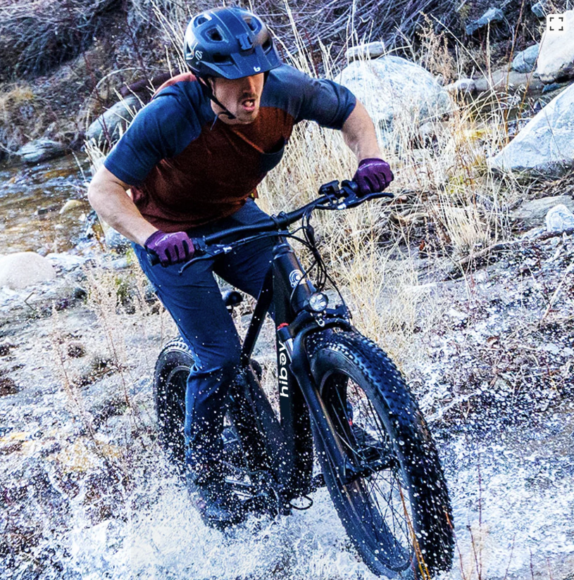 Hiboy P6 Fat Tire e-Bike